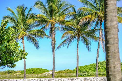 Crescent Resort On South Beach, Miami