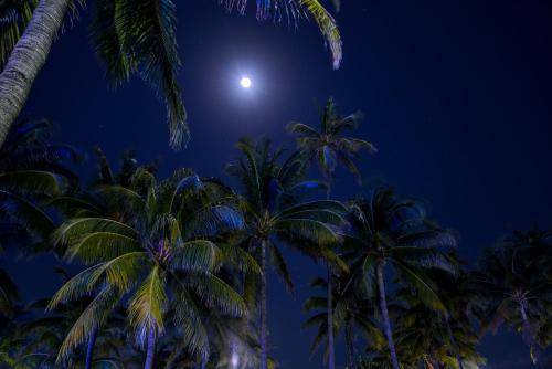 Crescent Resort On South Beach, Miami